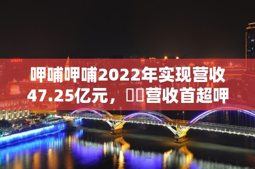 呷哺呷哺2022年实现营收47.25亿元，湊湊营收首超呷哺