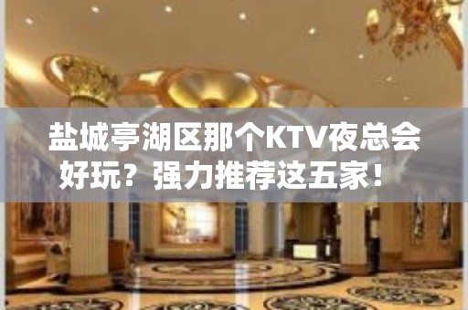 盐城亭湖区那个KTV夜总会好玩？强力推荐这五家！ - 盐城亭湖KTV大全 