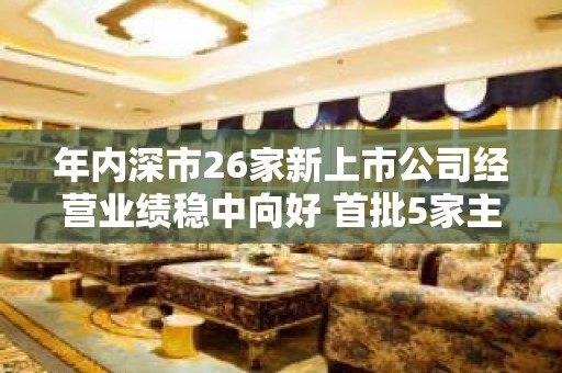 年内深市26家新上市公司经营业绩稳中向好 首批5家主板注册制企业增势强劲