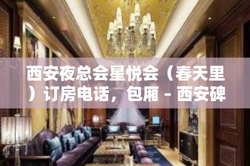 西安夜总会星悦会（春天里）订房电话，包厢 – 西安碑林碑林周边KTV排名大全