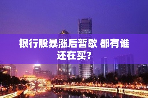 银行股暴涨后暂歇 都有谁还在买？