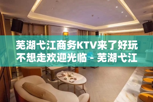 芜湖弋江商务KTV来了好玩不想走欢迎光临 - 芜湖弋江KTV大全 