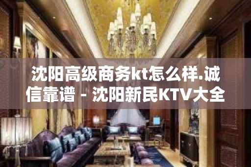 沈阳高级商务kt怎么样.诚信靠谱 - 沈阳新民KTV大全 