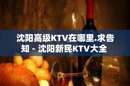 沈阳高级KTV在哪里.求告知 - 沈阳新民KTV大全 