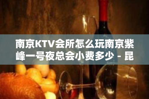 南京KTV会所怎么玩南京紫峰一号夜总会小费多少 - 昆山玉山KTV大全 