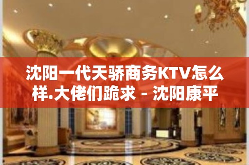 沈阳一代天骄商务KTV怎么样.大佬们跪求 - 沈阳康平KTV大全 