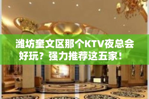 潍坊奎文区那个KTV夜总会好玩？强力推荐这五家！ - 潍坊奎文KTV大全 