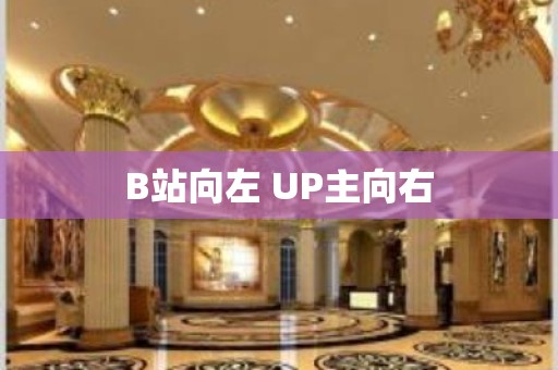 B站向左 UP主向右