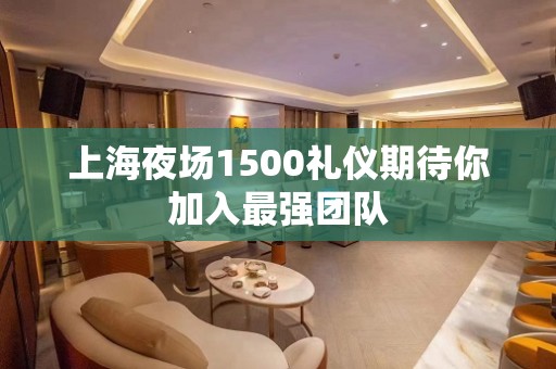 上海夜场1500礼仪期待你加入最强团队