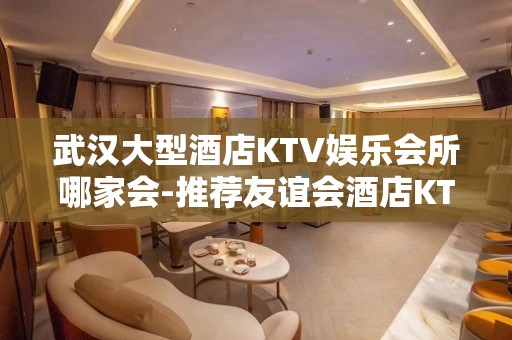 武汉大型酒店KTV娱乐会所哪家会-推荐友谊会酒店KTV