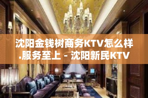 沈阳金钱树商务KTV怎么样.服务至上 - 沈阳新民KTV大全 