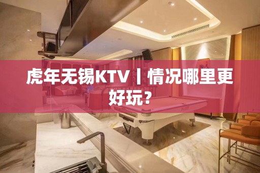 虎年无锡KTV丨情况哪里更好玩？