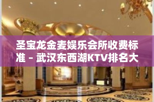 圣宝龙金麦娱乐会所收费标准 – 武汉东西湖KTV排名大全