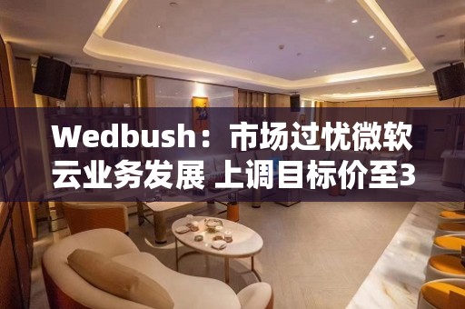 Wedbush：市场过忧微软云业务发展 上调目标价至315美元