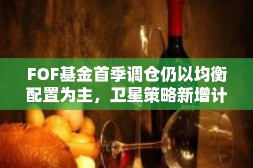 FOF基金首季调仓仍以均衡配置为主，卫星策略新增计算机和医药