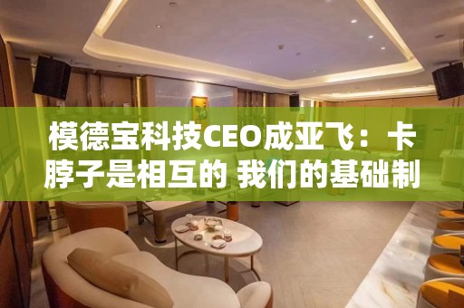 模德宝科技CEO成亚飞：卡脖子是相互的 我们的基础制造卡了西方的脖子