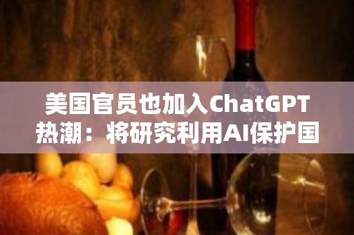 美国官员也加入ChatGPT热潮：将研究利用AI保护国土安全