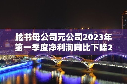 脸书母公司元公司2023年第一季度净利润同比下降24%