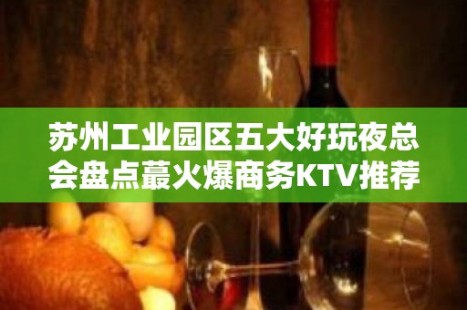 苏州工业园区五大好玩夜总会盘点蕞火爆商务KTV推荐 - 苏州园区KTV大全 