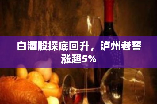 白酒股探底回升，泸州老窖涨超5%