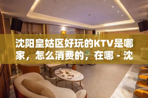 沈阳皇姑区好玩的KTV是哪家，怎么消费的，在哪 - 沈阳皇姑KTV大全 