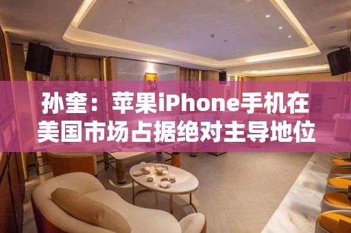 孙奎：苹果iPhone手机在美国市场占据绝对主导地位 中国手机品牌层出不穷