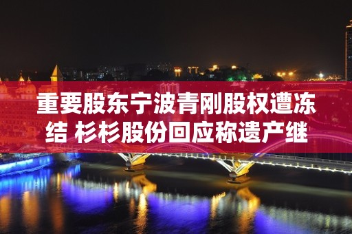 重要股东宁波青刚股权遭冻结 杉杉股份回应称遗产继承各方正积极沟通