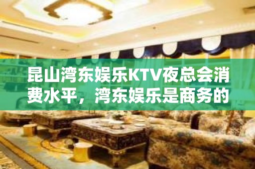 昆山湾东娱乐KTV夜总会消费水平，湾东娱乐是商务的吗。