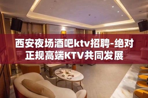 西安夜场酒吧ktv招聘-绝对正规高端KTV共同发展