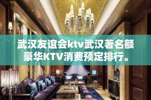 武汉友谊会ktv武汉著名额豪华KTV消费预定排行。