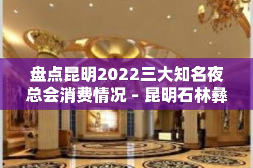 盘点昆明2022三大知名夜总会消费情况 – 昆明石林彝族自治县KTV排名大全