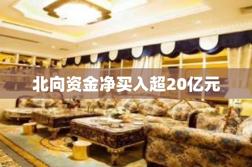 北向资金净买入超20亿元