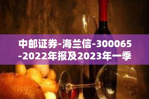 中邮证券-海兰信-300065-2022年报及2023年一季报点评：业绩触底回升，智能航海及UDC业务有望齐发力-230516