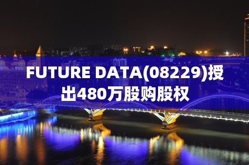 FUTURE DATA(08229)授出480万股购股权