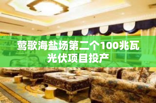 莺歌海盐场第二个100兆瓦光伏项目投产