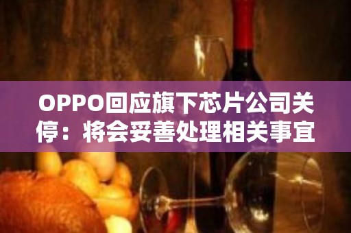 OPPO回应旗下芯片公司关停：将会妥善处理相关事宜