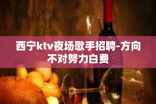 西宁ktv夜场歌手招聘-方向不对努力白费