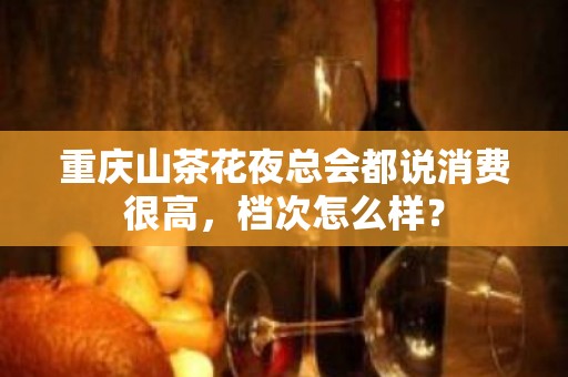 重庆山茶花夜总会都说消费很高，档次怎么样？