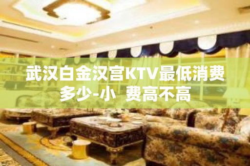 武汉白金汉宫KTV最低消费多少-小  费高不高