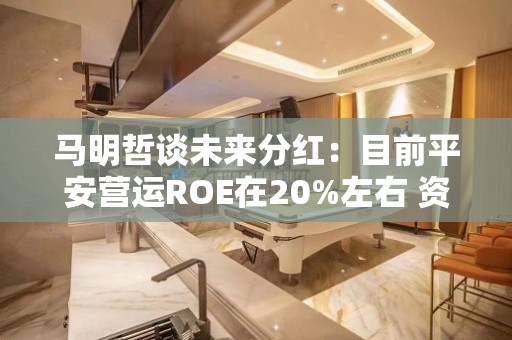 马明哲谈未来分红：目前平安营运ROE在20%左右 资本利用效率已经很高