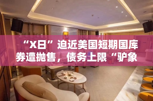 “X日”迫近美国短期国库券遭抛售，债务上限“驴象之争”如何收场？