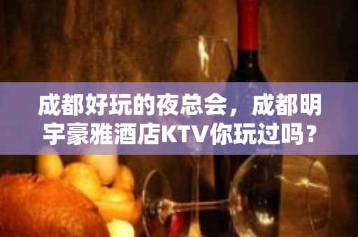 成都好玩的夜总会，成都明宇豪雅酒店KTV你玩过吗？