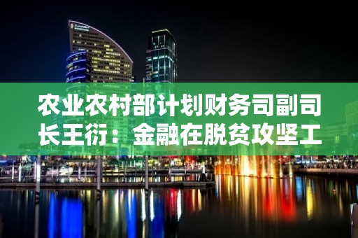 农业农村部计划财务司副司长王衍：金融在脱贫攻坚工作中发挥了极其重要的作用