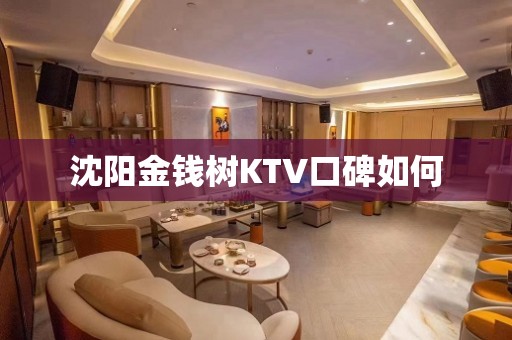 沈阳金钱树KTV口碑如何