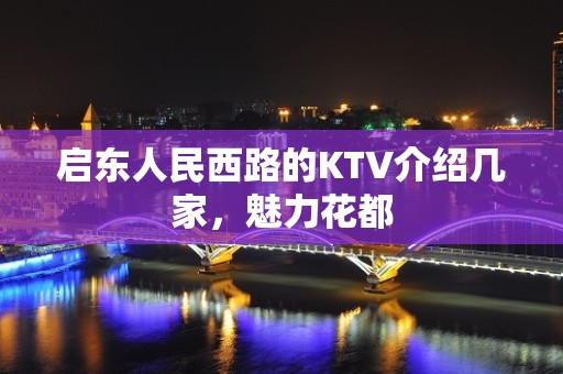 启东人民西路的KTV介绍几家，魅力花都