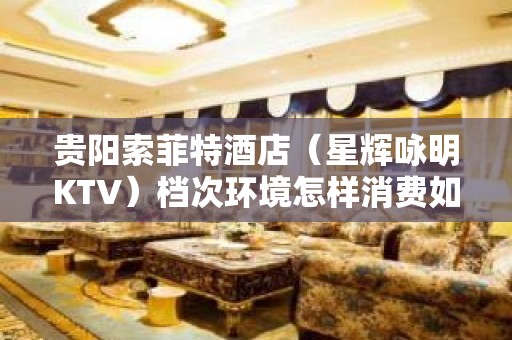 贵阳索菲特酒店（星辉咏明KTV）档次环境怎样消费如何？