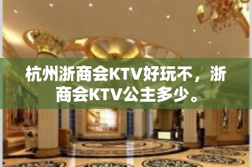 杭州浙商会KTV好玩不，浙商会KTV公主多少。