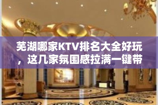 芜湖哪家KTV排名大全好玩，这几家氛围感拉满一键带入音乐