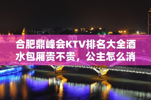 合肥鼎峰会KTV排名大全酒水包厢贵不贵，公主怎么消费。