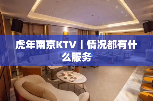 虎年﻿南京KTV丨情况都有什么服务